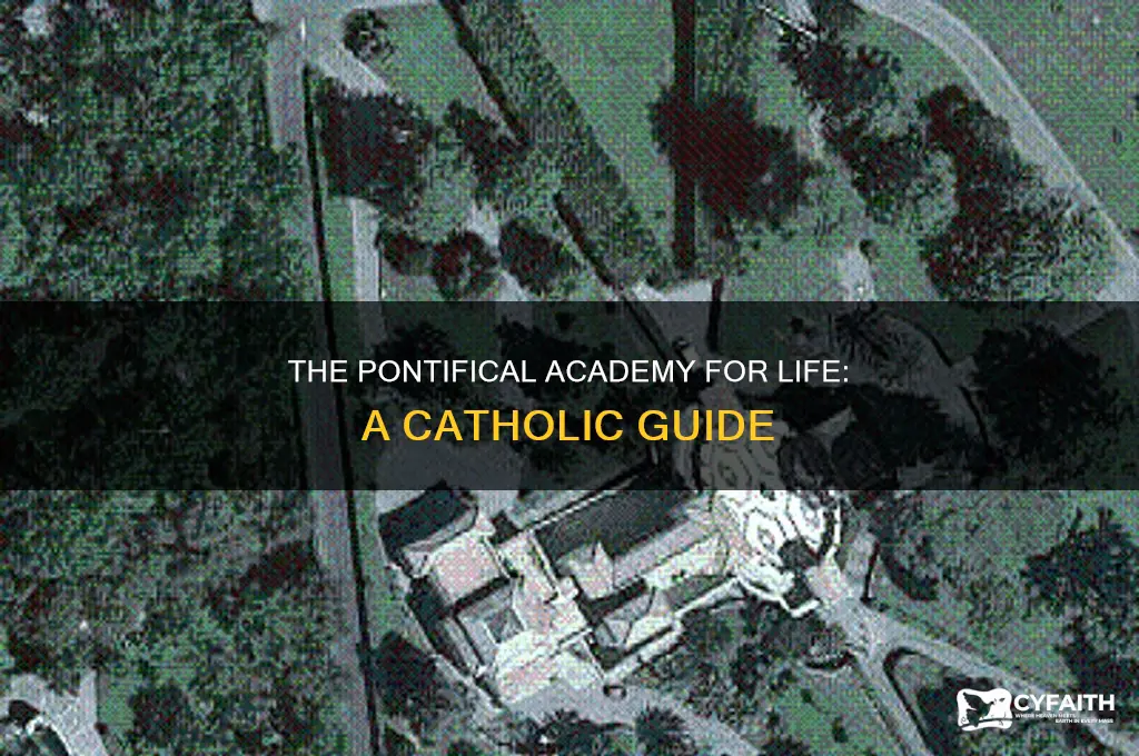 what is the pontifical academy for life catholic