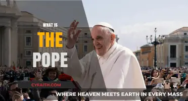 Understanding the Pope: Role, History, and Significance in Catholicism