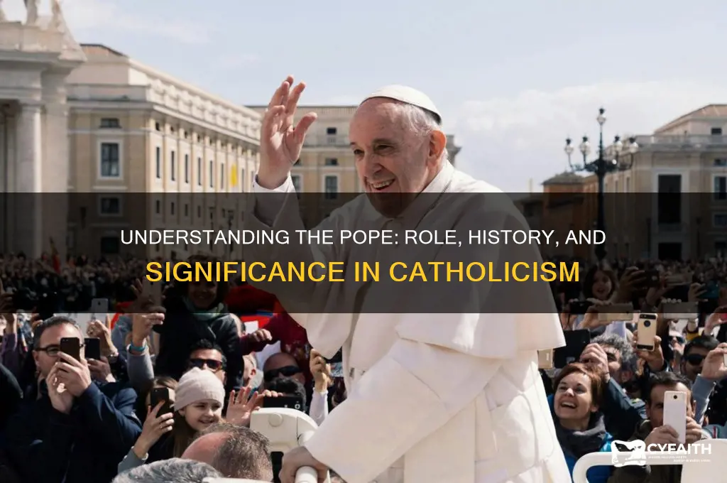 what is the pope
