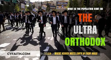 Ultra-Orthodox Population Count: Understanding the Global Community's Size