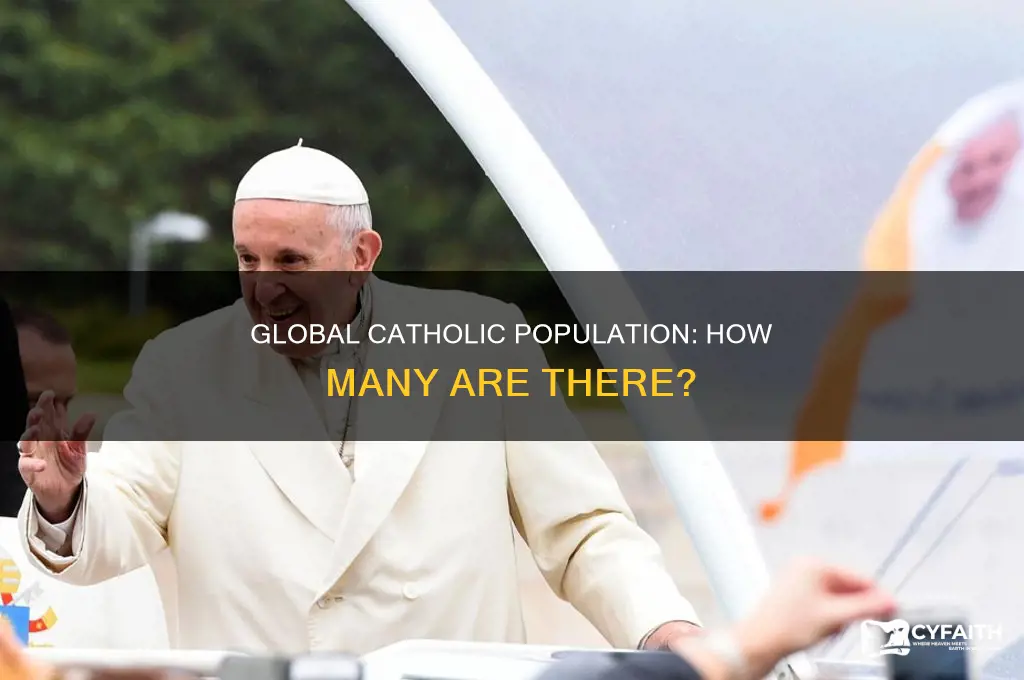 what is the population of catholics