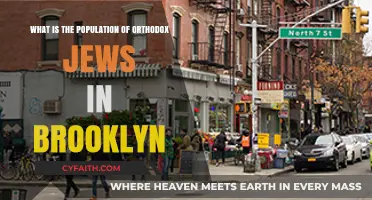 Brooklyn's Orthodox Jewish Population: Size, Growth, and Community Insights
