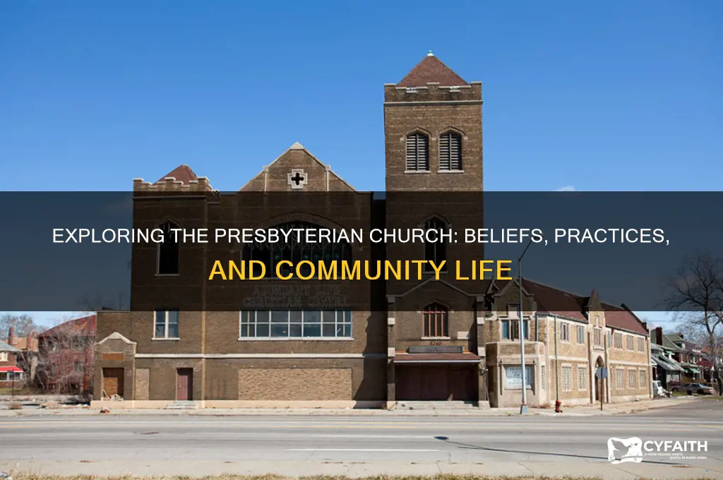 what is the presbyterian church like