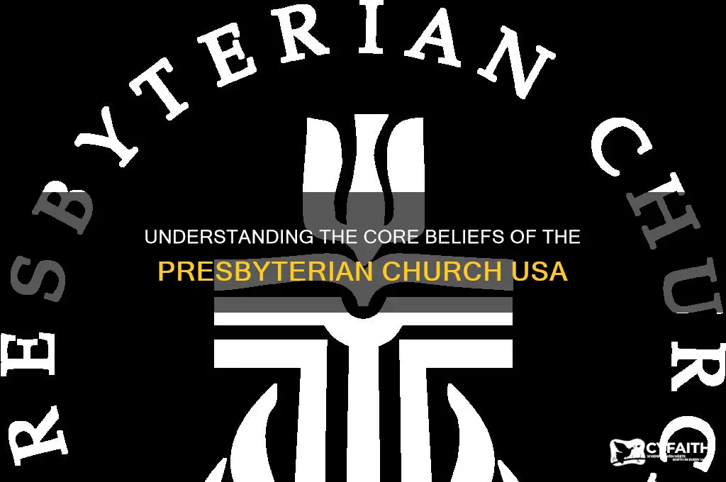 what is the presbyterian church usa beliefs