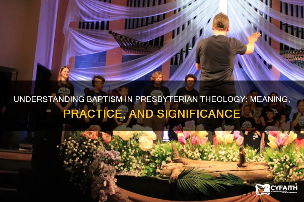 what is the presbyterian definition of baptism