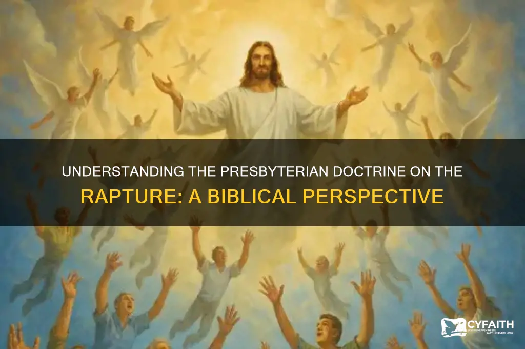 what is the presbyterian doctrine on the rapture