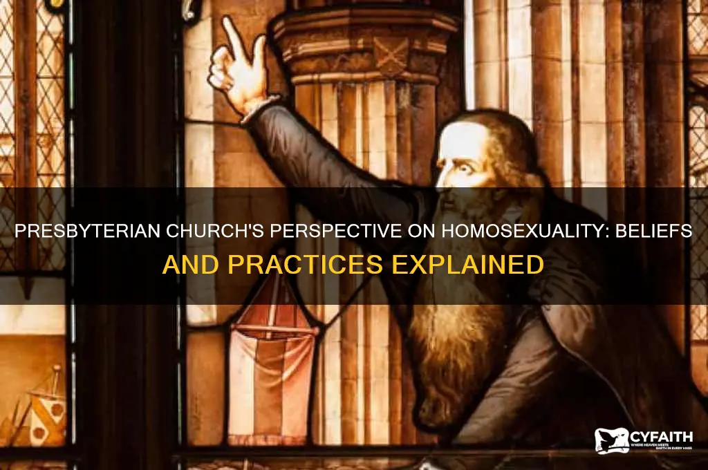 what is the presbyterian stand on homosexuslality