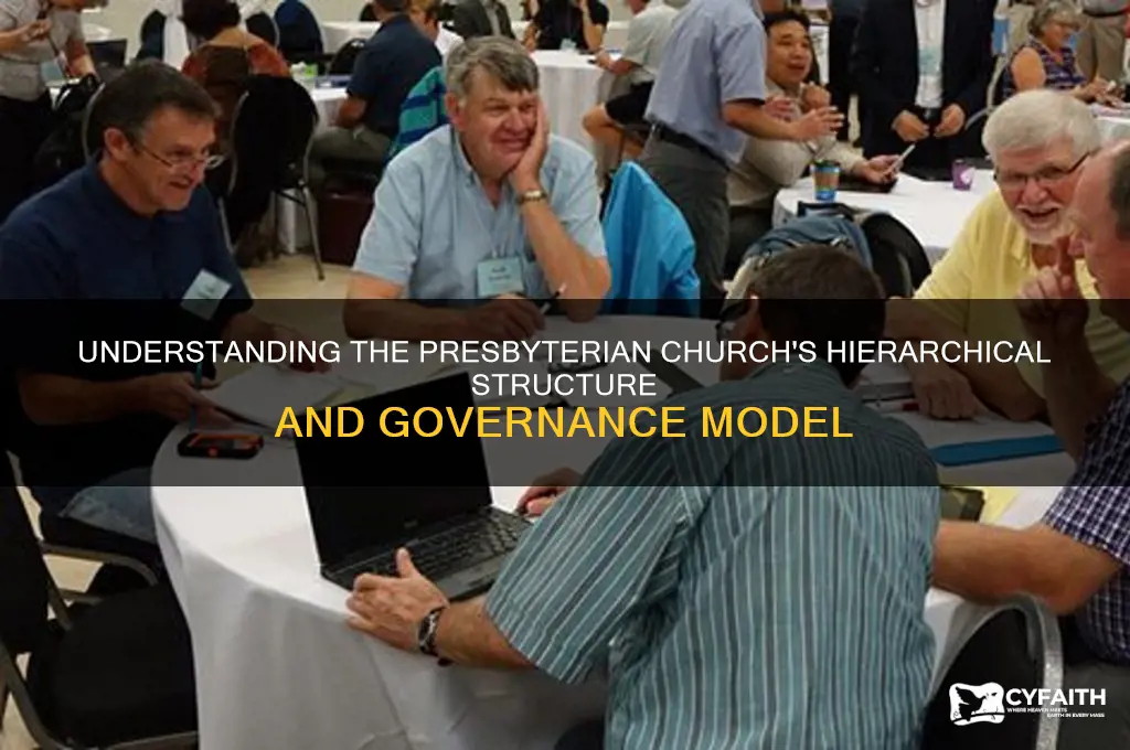 what is the presbyterian structure