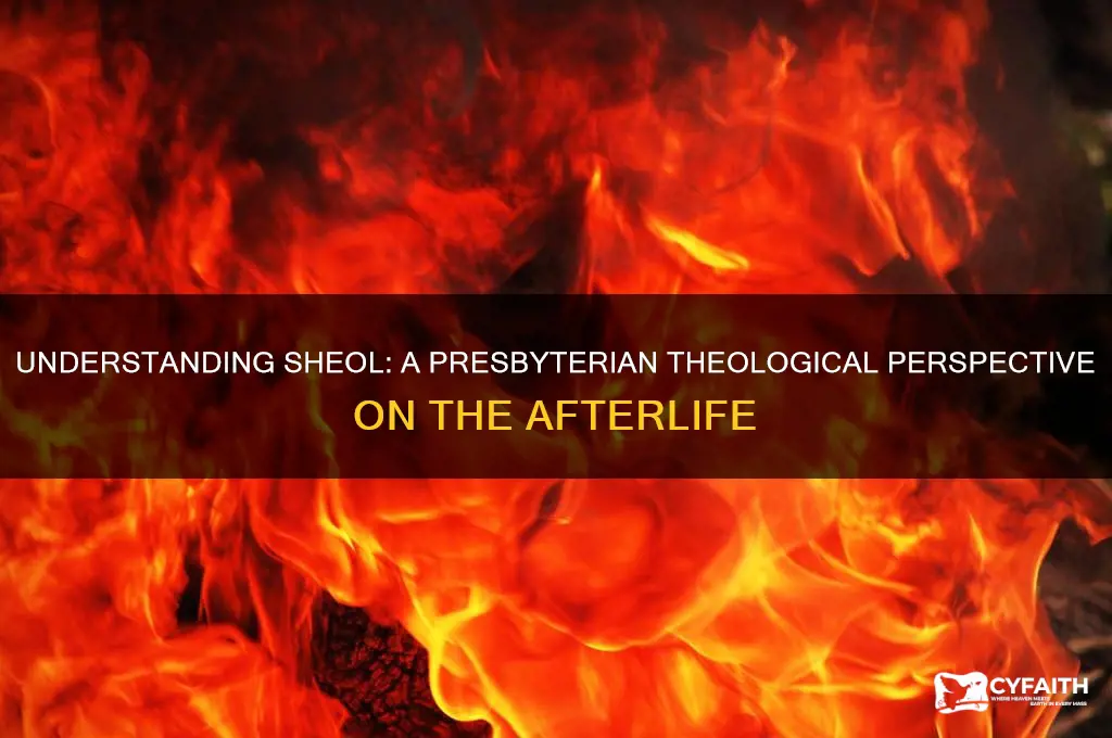 what is the presbyterian view of sheol