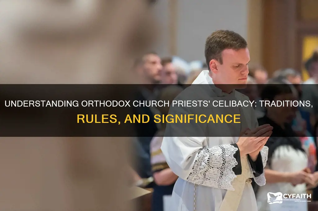 what is the priests celibacy in orthodox church
