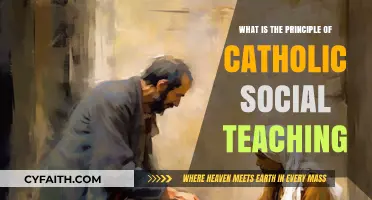 Catholic Social Teaching: Principles for a Just Society