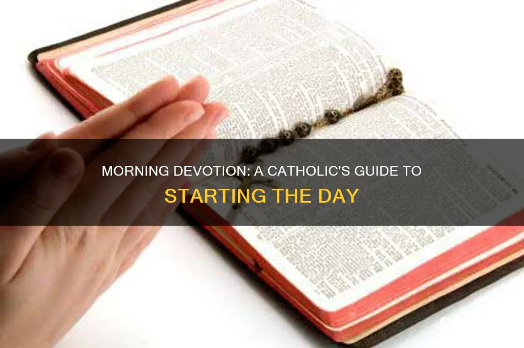 what is the proper catholic morning devotional