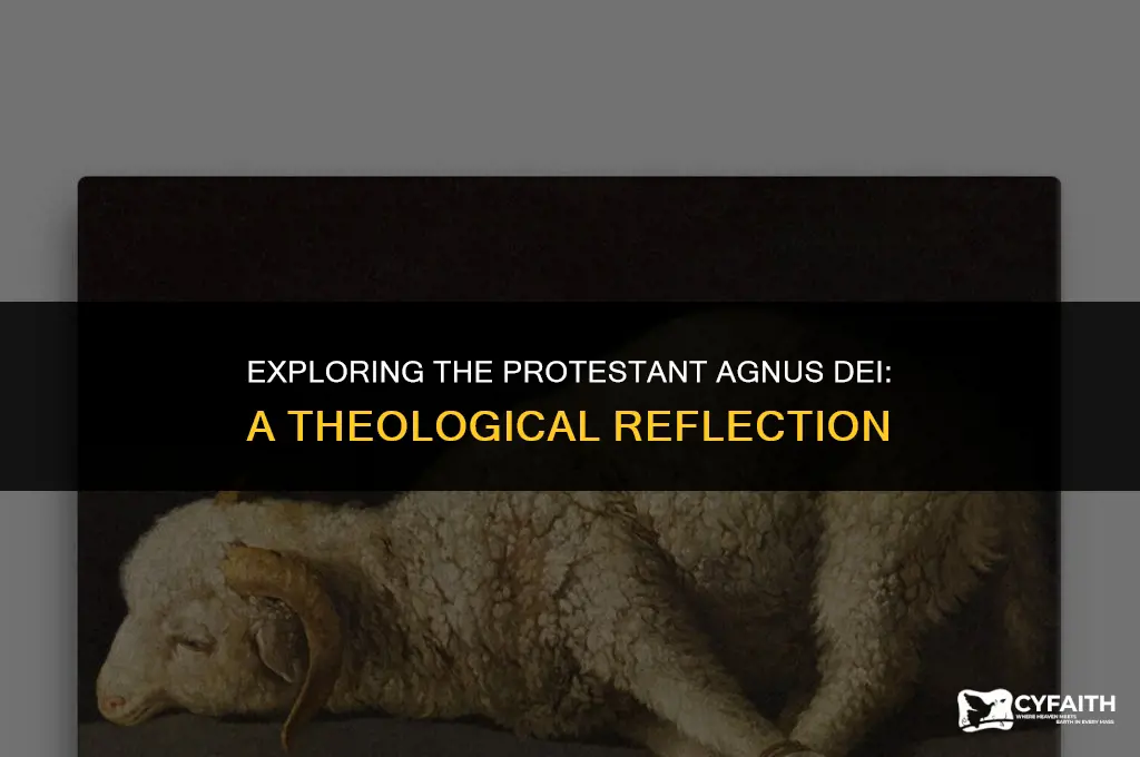 what is the protestant agnus dei
