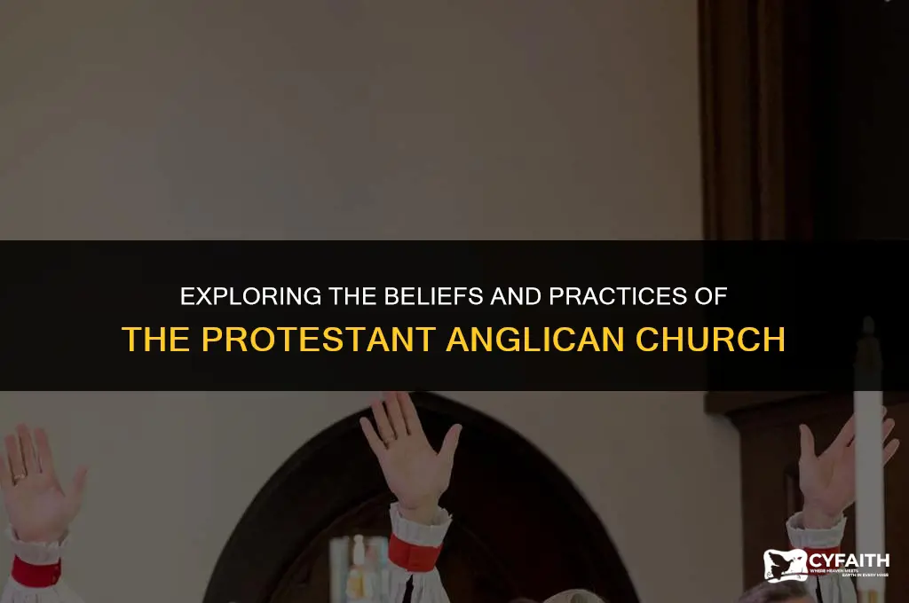 what is the protestant angelican church