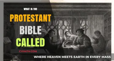 Exploring the Protestant Bible: A Comprehensive Guide to Its Name and Nature