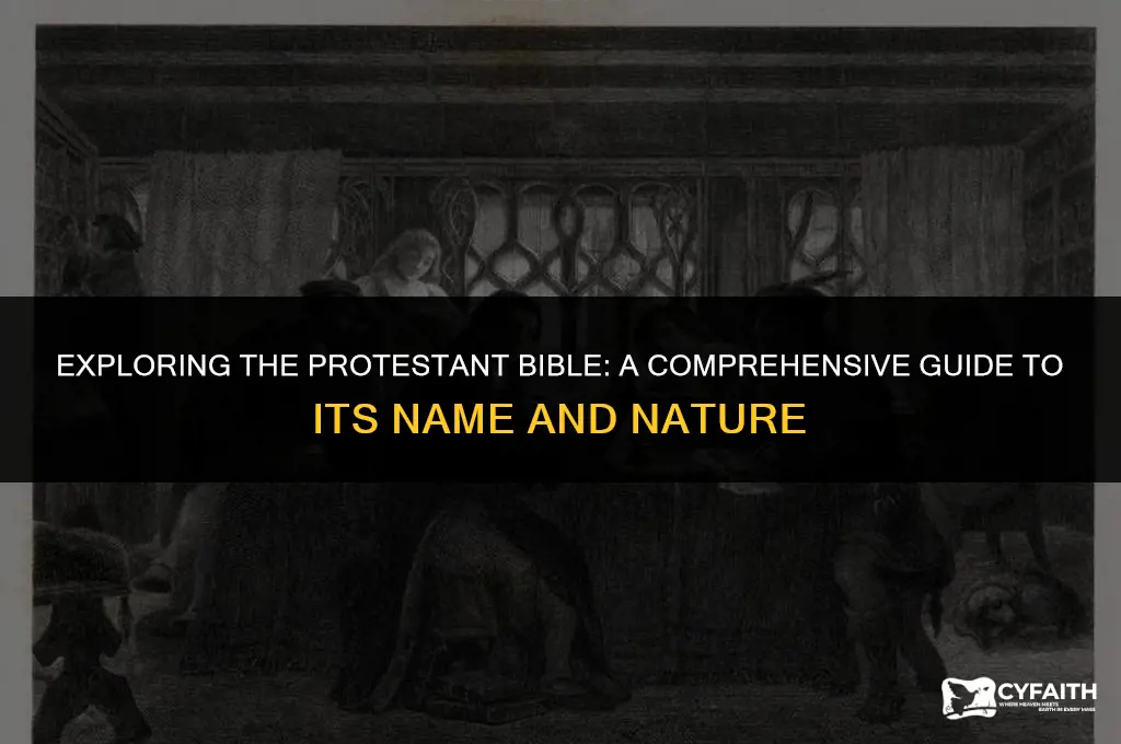 what is the protestant bible called