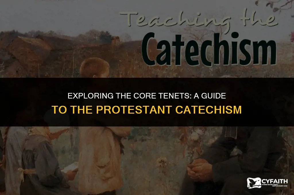 what is the protestant catechism