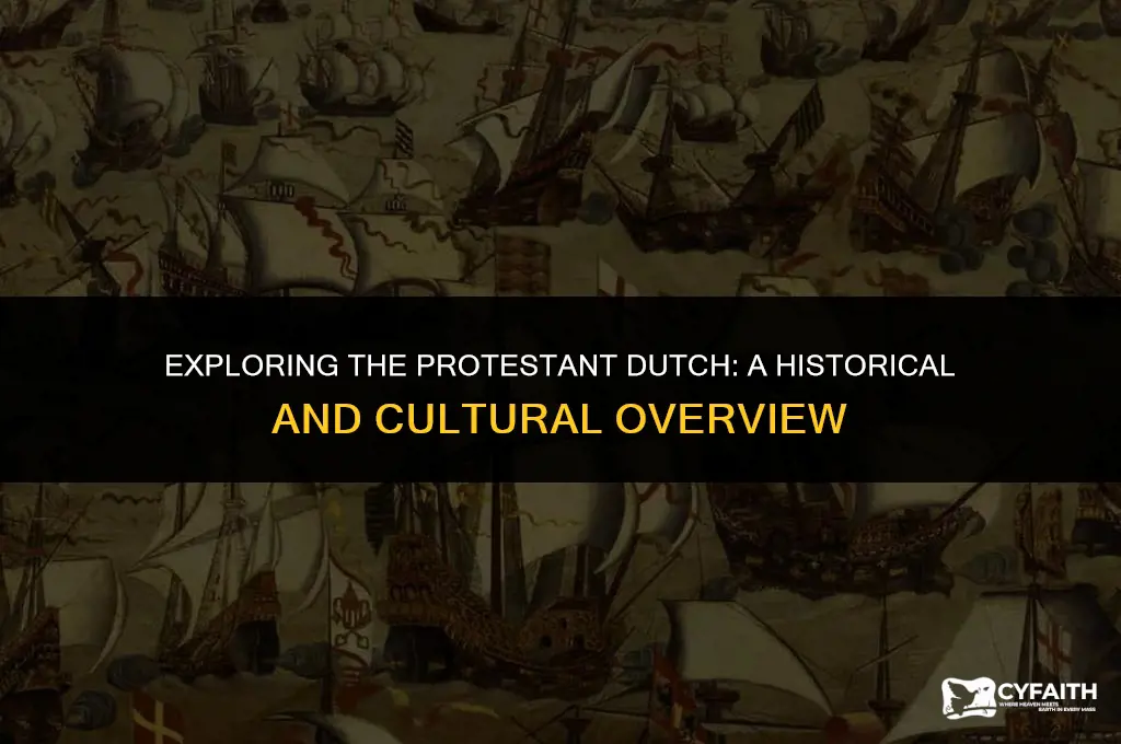 what is the protestant dutch