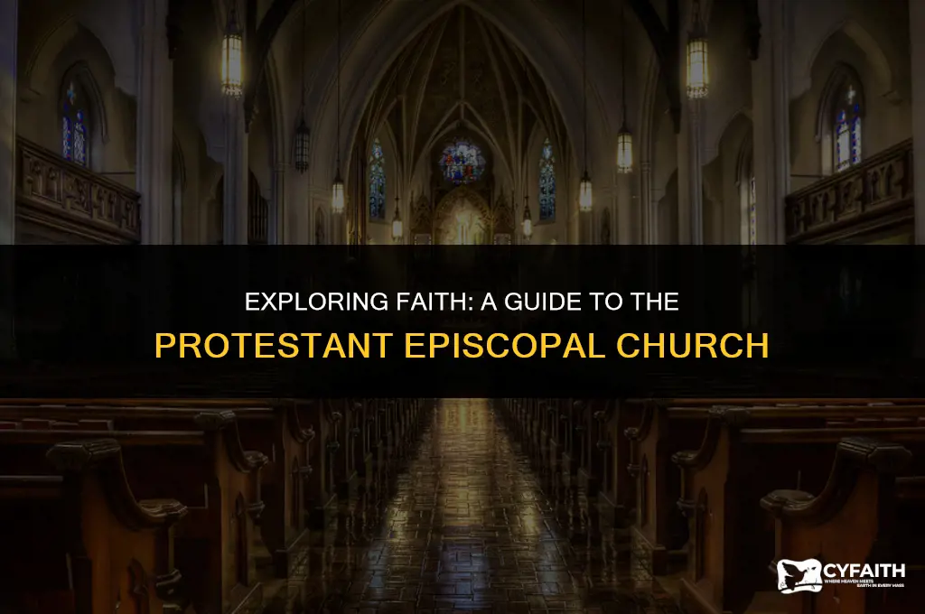 what is the protestant episcopal church