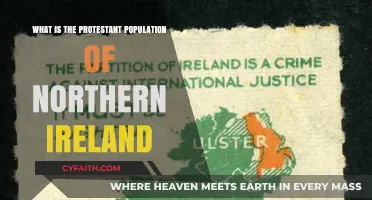 Exploring the Protestant Population of Northern Ireland: A Demographic Overview