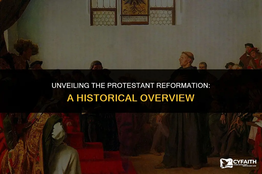 what is the protestant reform