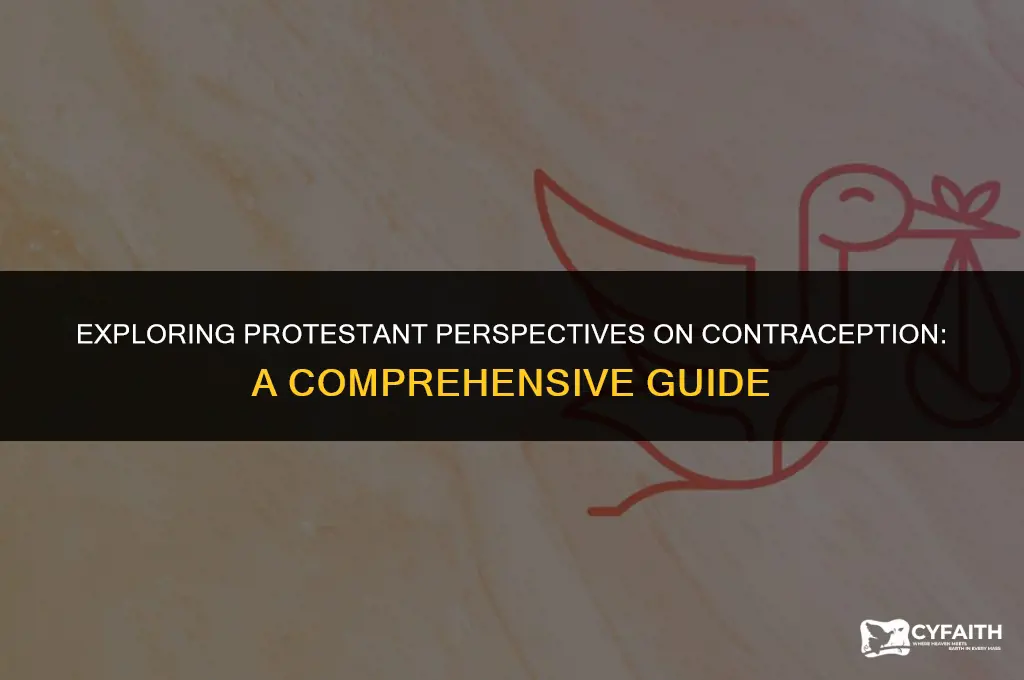 what is the protestant view on contraception