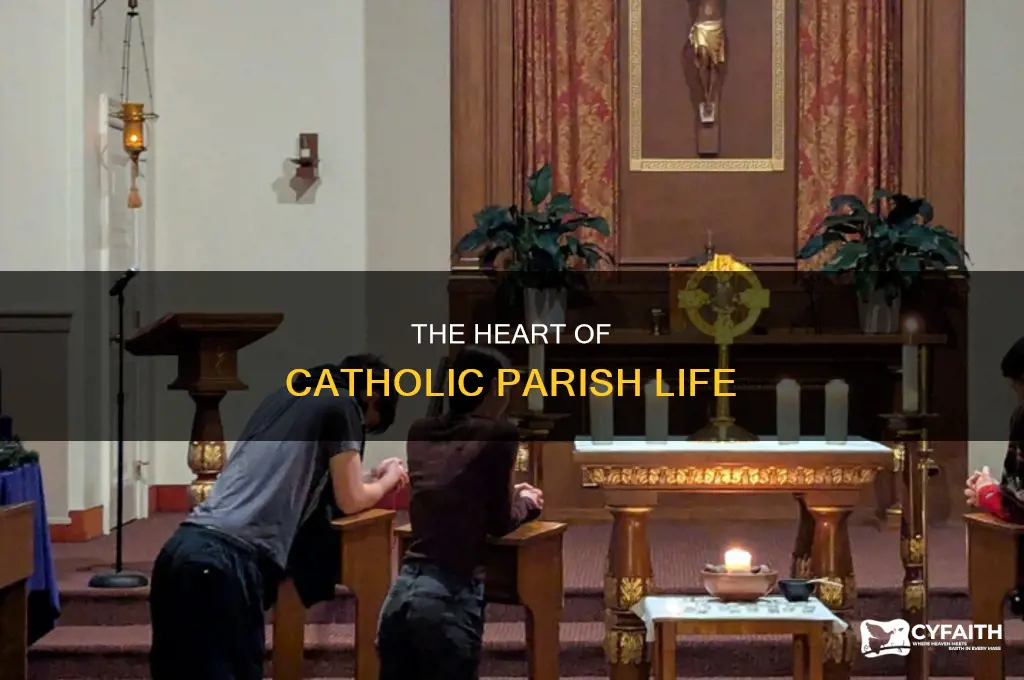 what is the purpose of a catholic parish
