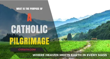 Exploring Catholic Pilgrimages: Faith, Spiritual Growth, and Community