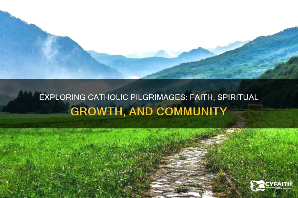 what is the purpose of a catholic pilgrimage