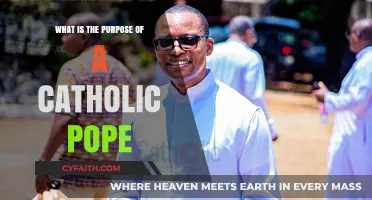 The Pope: Leading the Catholic Church
