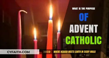 The True Meaning of Advent for Catholics