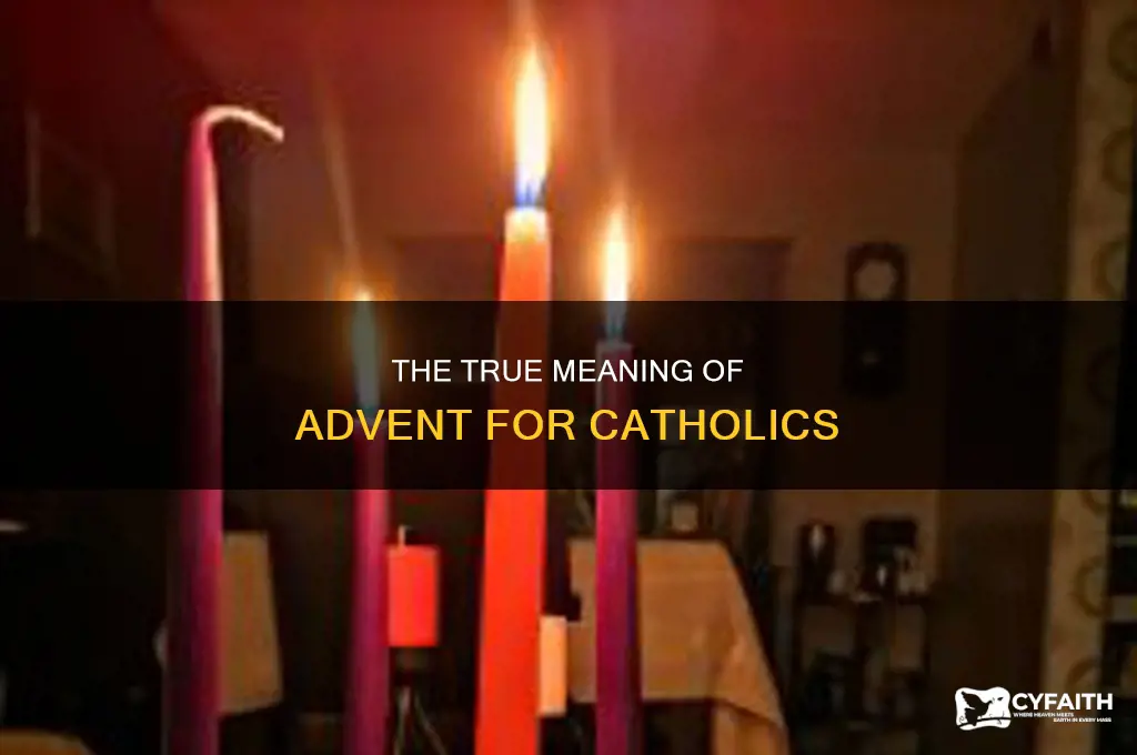 what is the purpose of advent catholic