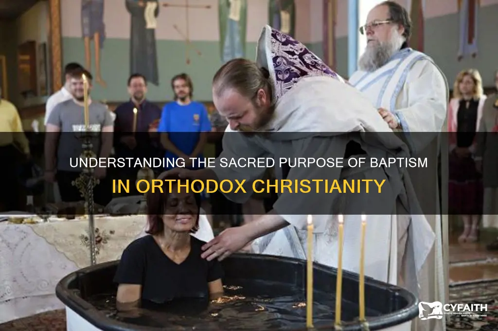 what is the purpose of baptism orthodox