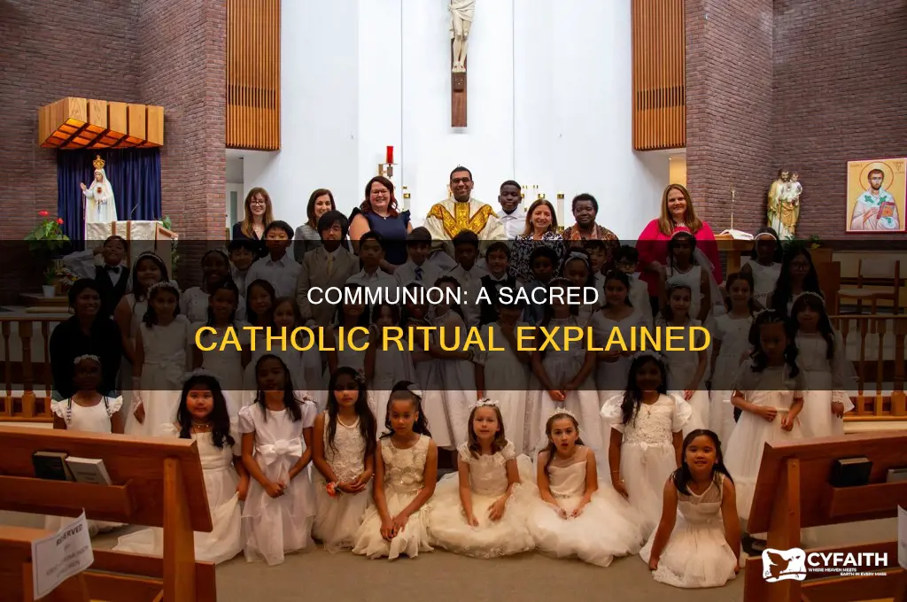 what is the purpose of catholic communion