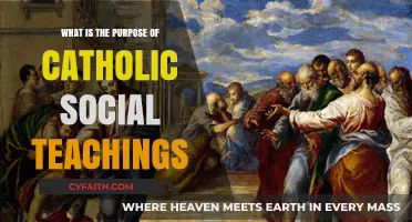 Catholic Social Teachings: A Guide to Action