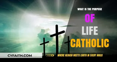 The Catholic Purpose: Life's Meaning