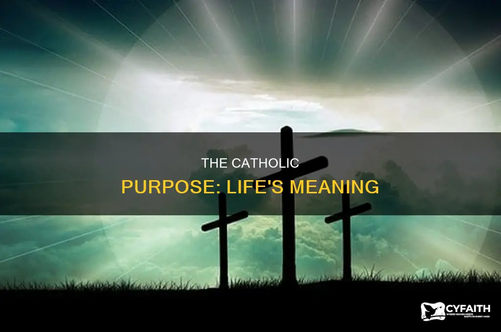 what is the purpose of life catholic