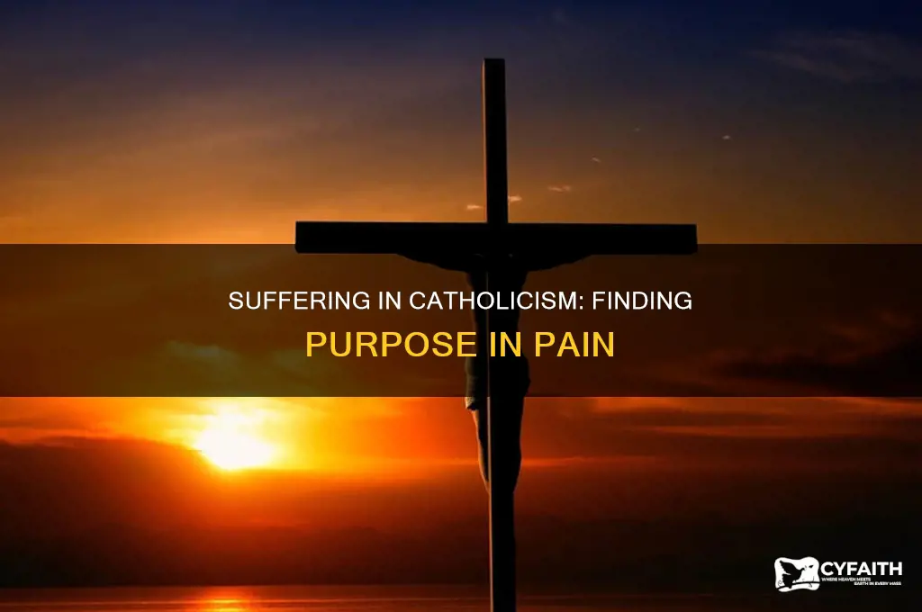 what is the purpose of suffering catholic