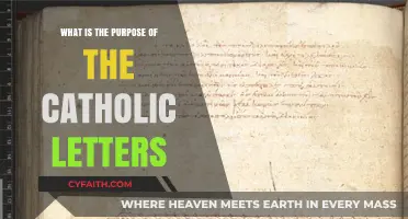 The Catholic Letters: Their Purpose and Relevance