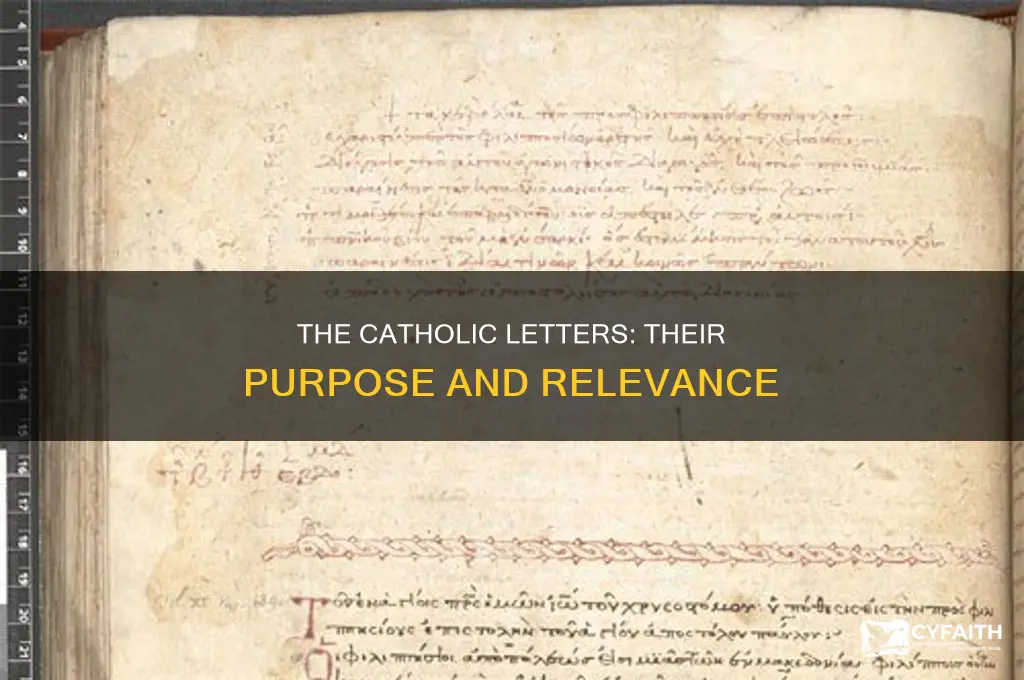 what is the purpose of the catholic letters
