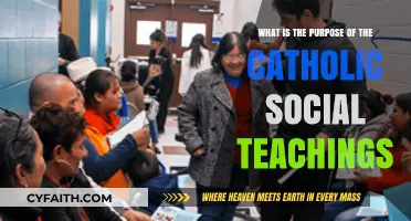 Understanding the Core Purpose of Catholic Social Teachings