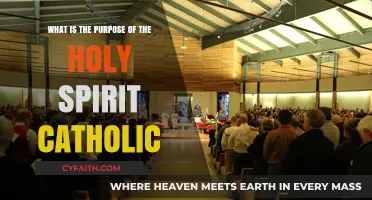 Understanding the Holy Spirit's Role in Catholic Faith and Life