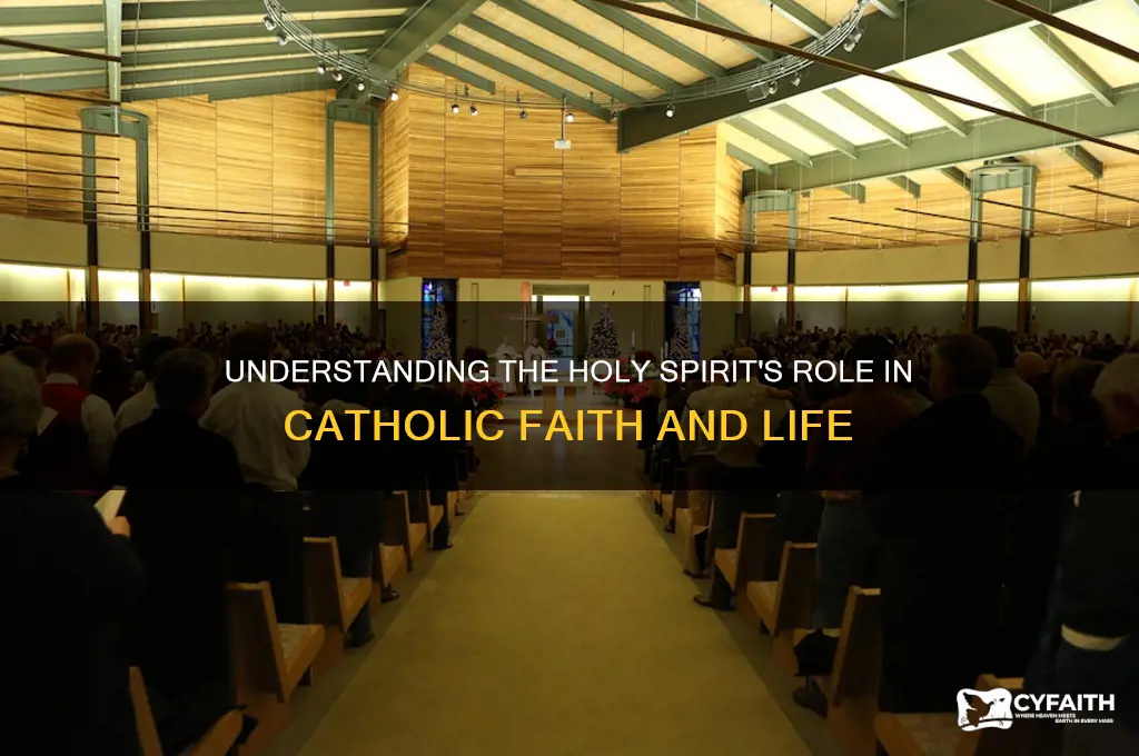 what is the purpose of the holy spirit catholic