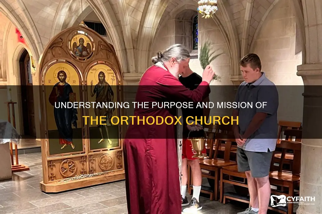 what is the purpose of the orthodox church