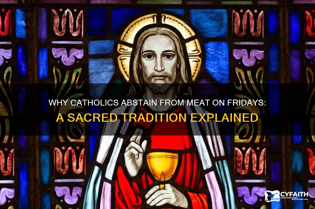 what is the reason catholics don