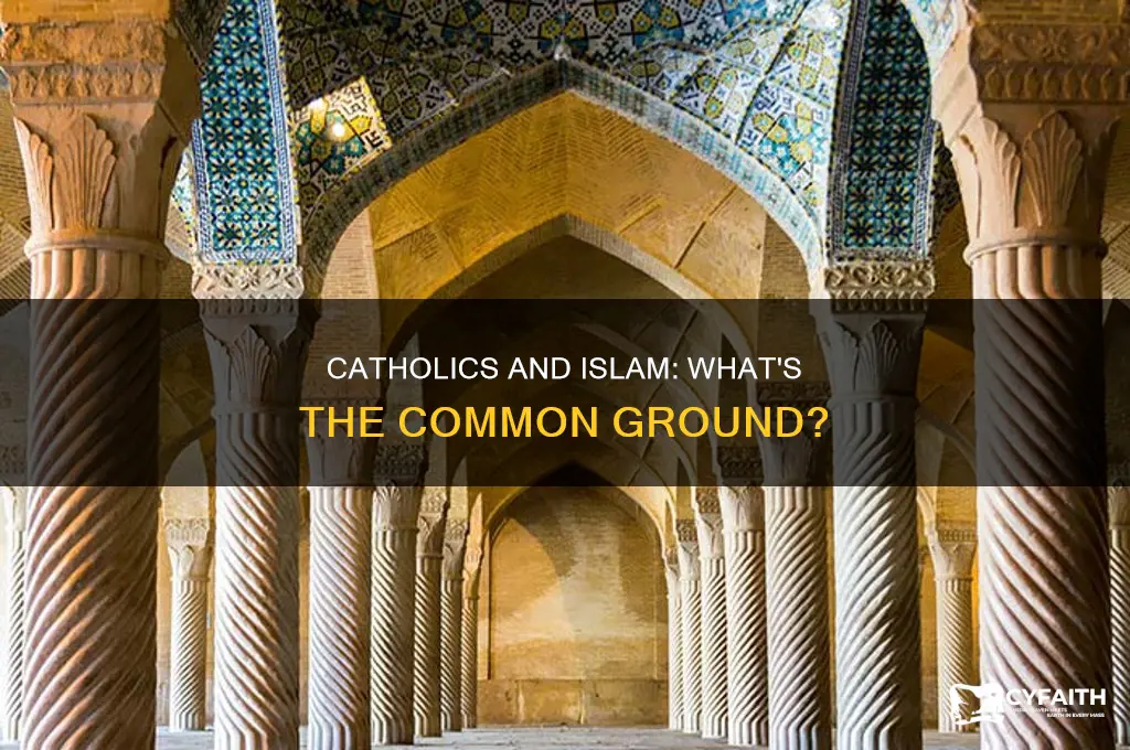 what is the relationship between catholic and islam