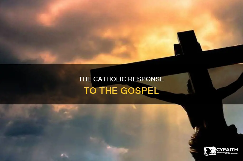 what is the response to the gospel catholic