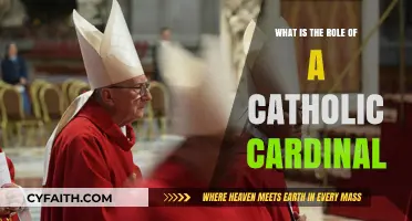 The Cardinal's Role: A Guide to Catholic Hierarchy