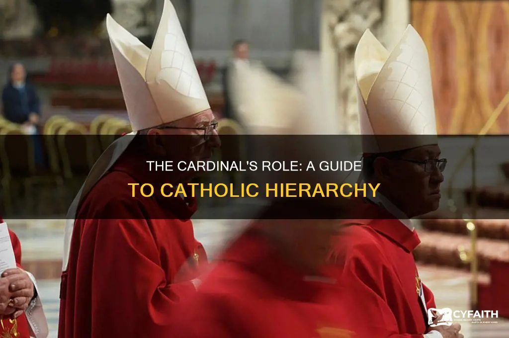 what is the role of a catholic cardinal