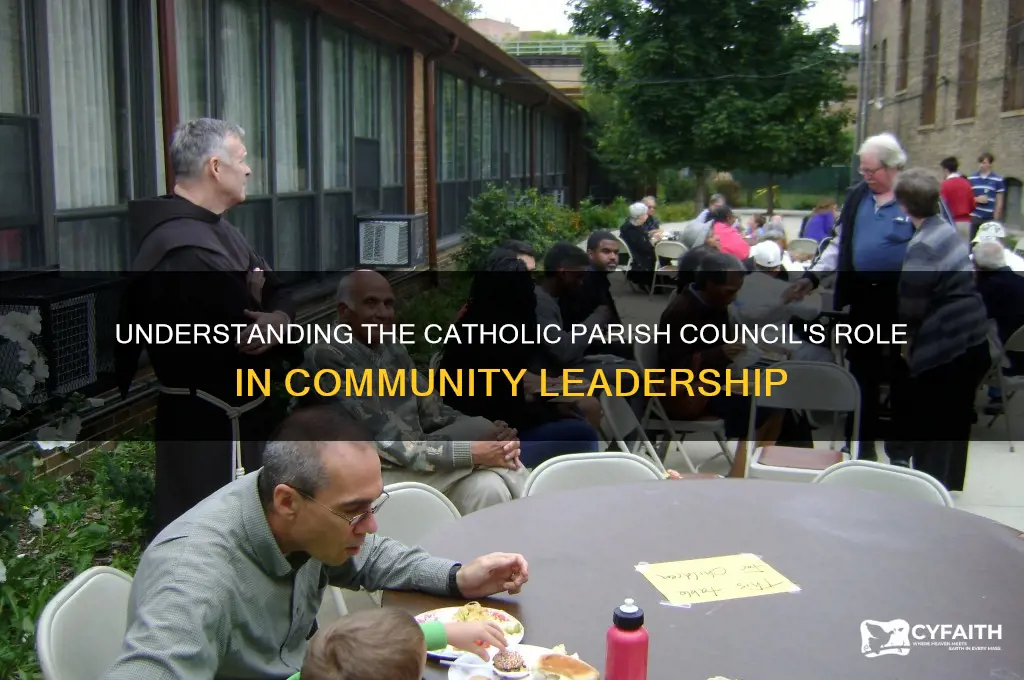what is the role of the catholic parish council
